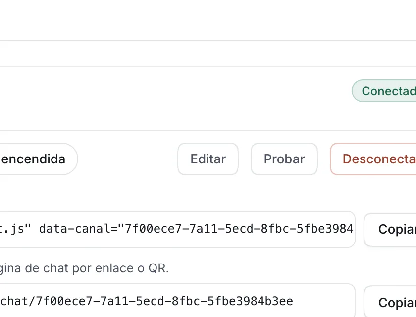 Ventana «Chat web». Señalado con el número 5: el botón «Editar».