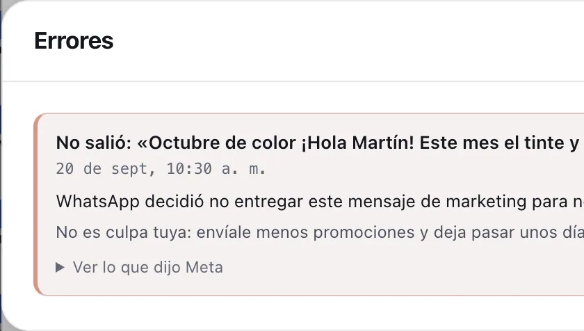 Ventana «Errores». Señalado con el número 5: «Detalle de Meta».