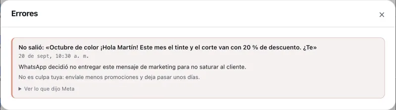 Ventana «Errores». Señalado con el número 5: «Detalle de Meta».